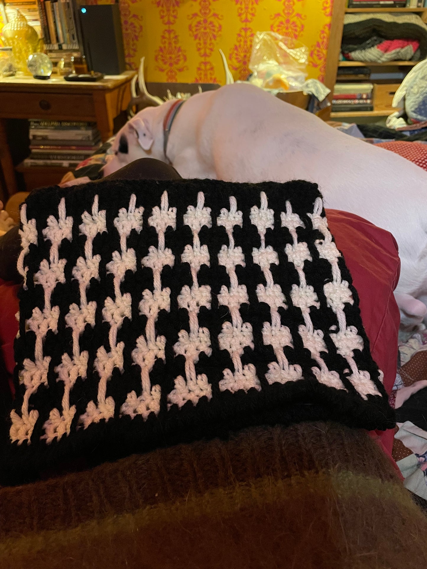 Black and white hand crocheted Cranky Kitty Beanie 🌈 hat toque