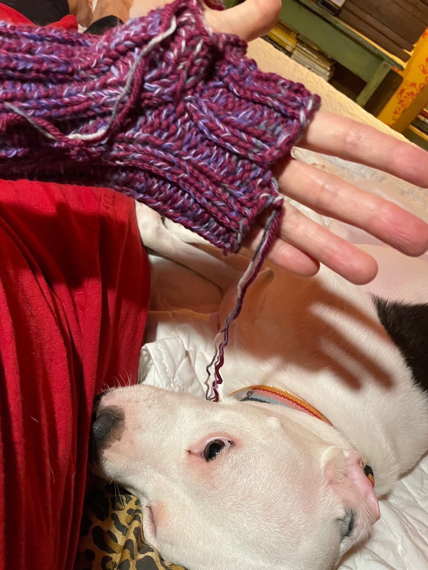 Marled Grape Fingerless Gloves ribbed hand knitted sz md/lg  thick cozy wool